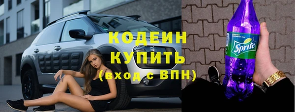 хмурый Алексин