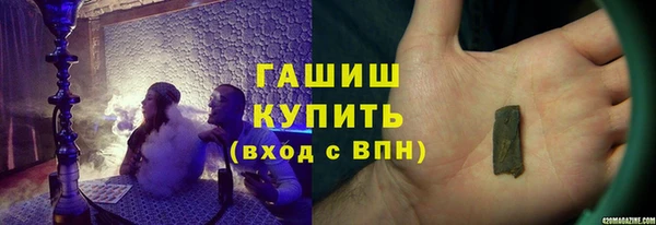 хмурый Алексин