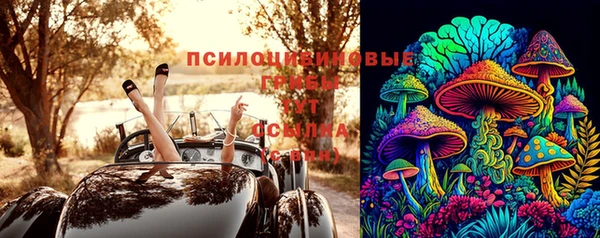 эйфоретик Алексеевка